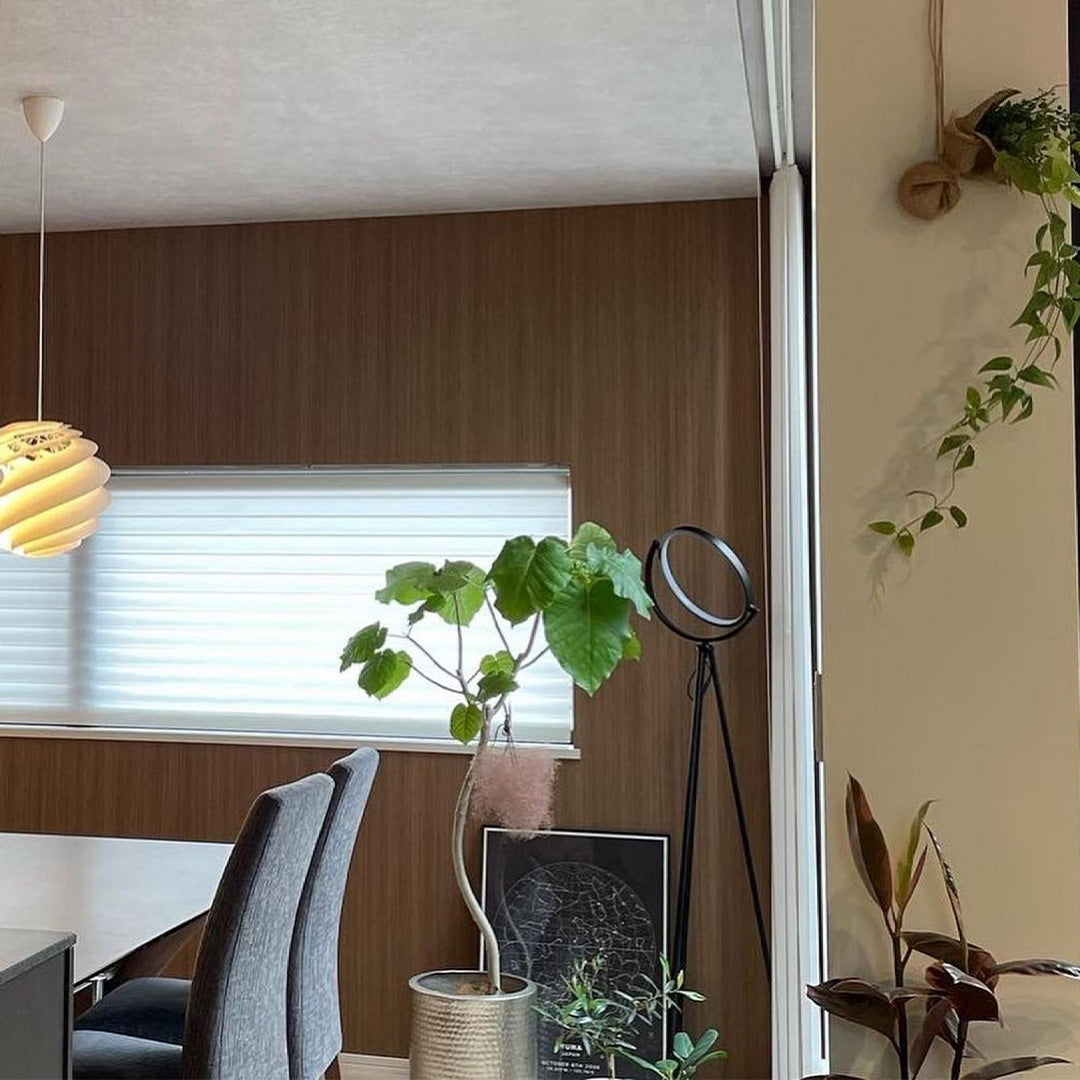 Lune Lamp