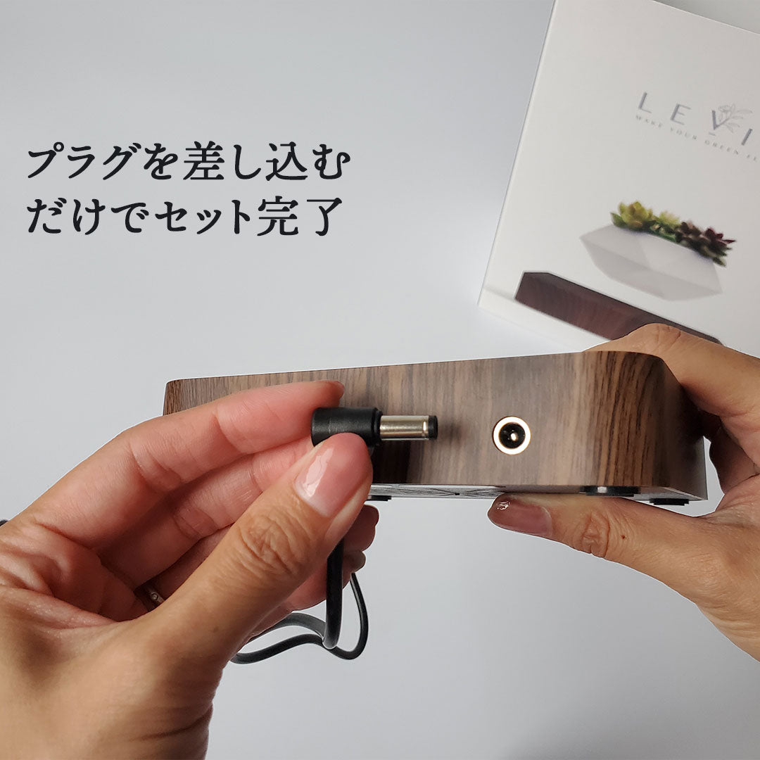 【在庫限り】Levit'