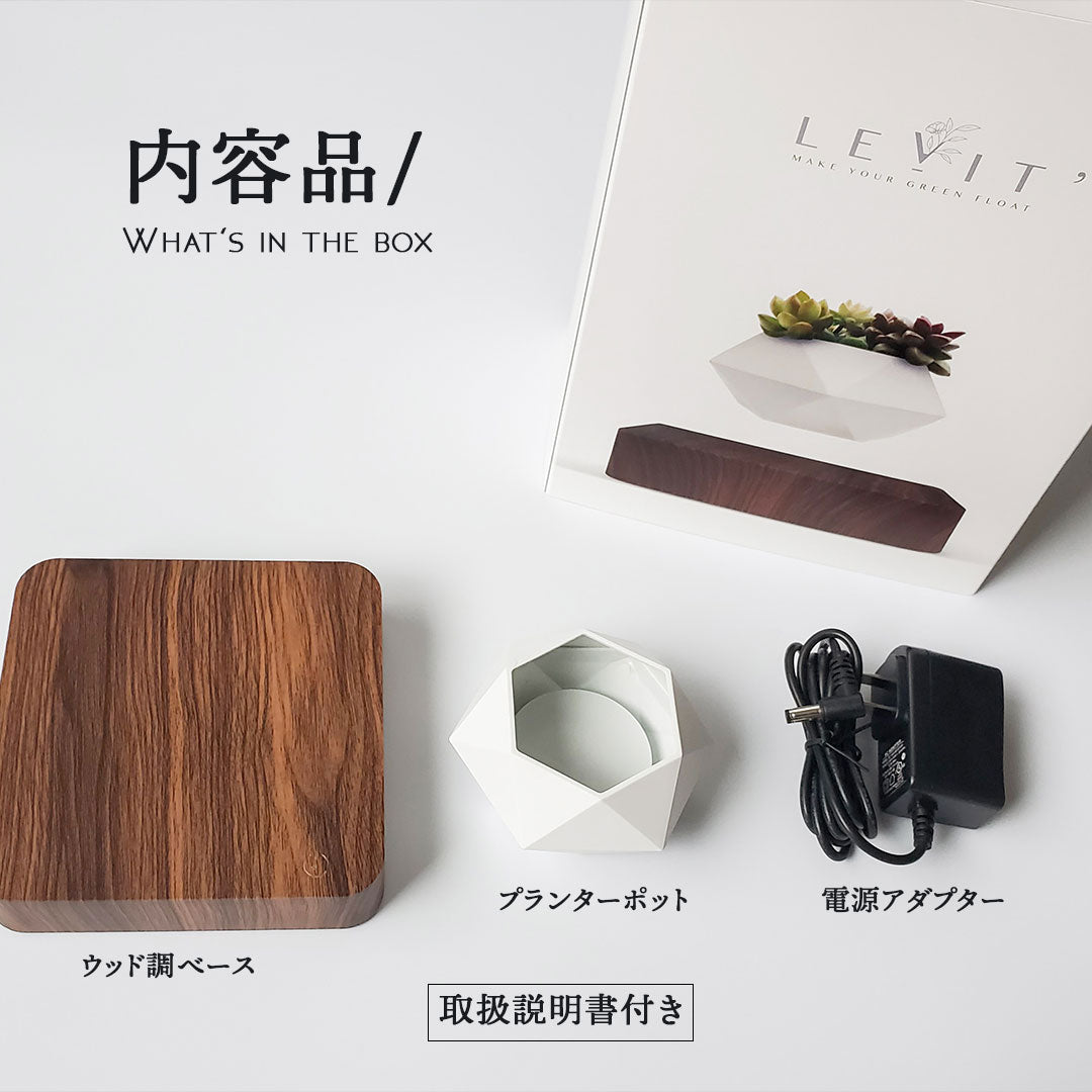 【在庫限り】Levit'