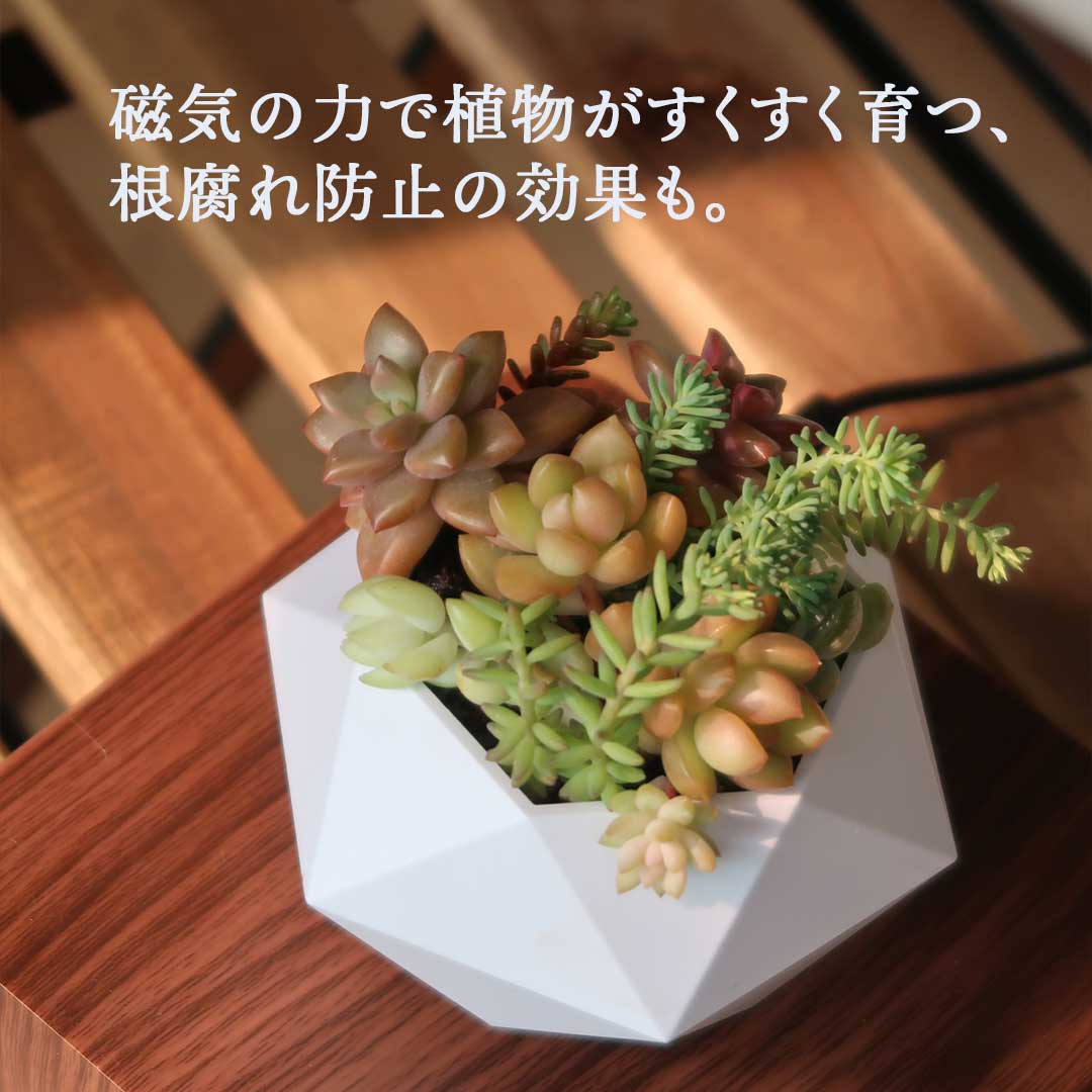 【在庫限り】Levit'