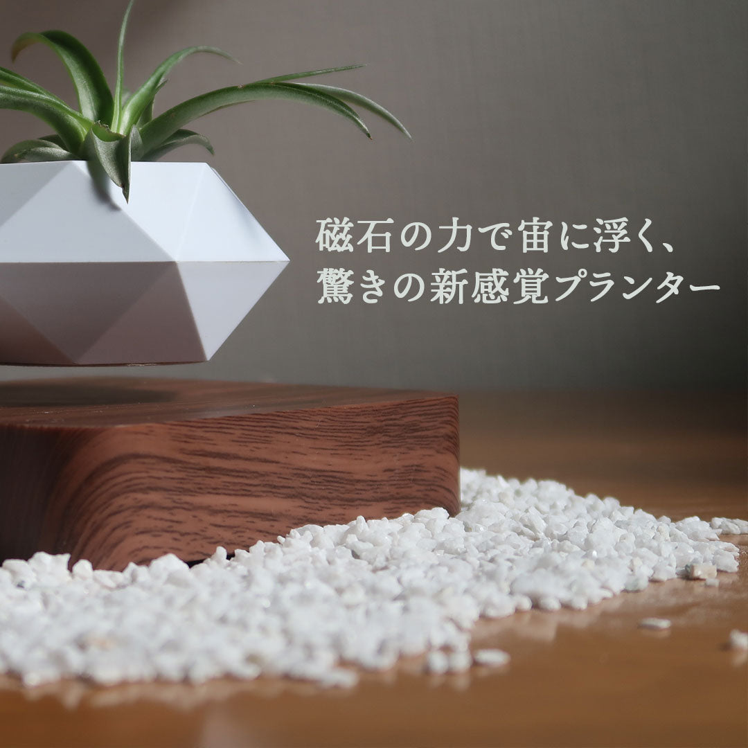 【在庫限り】Levit'