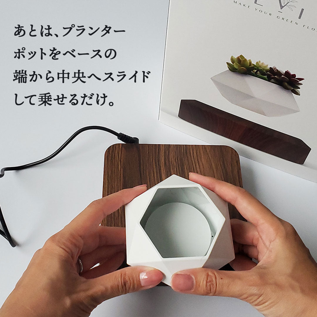 【在庫限り】Levit'