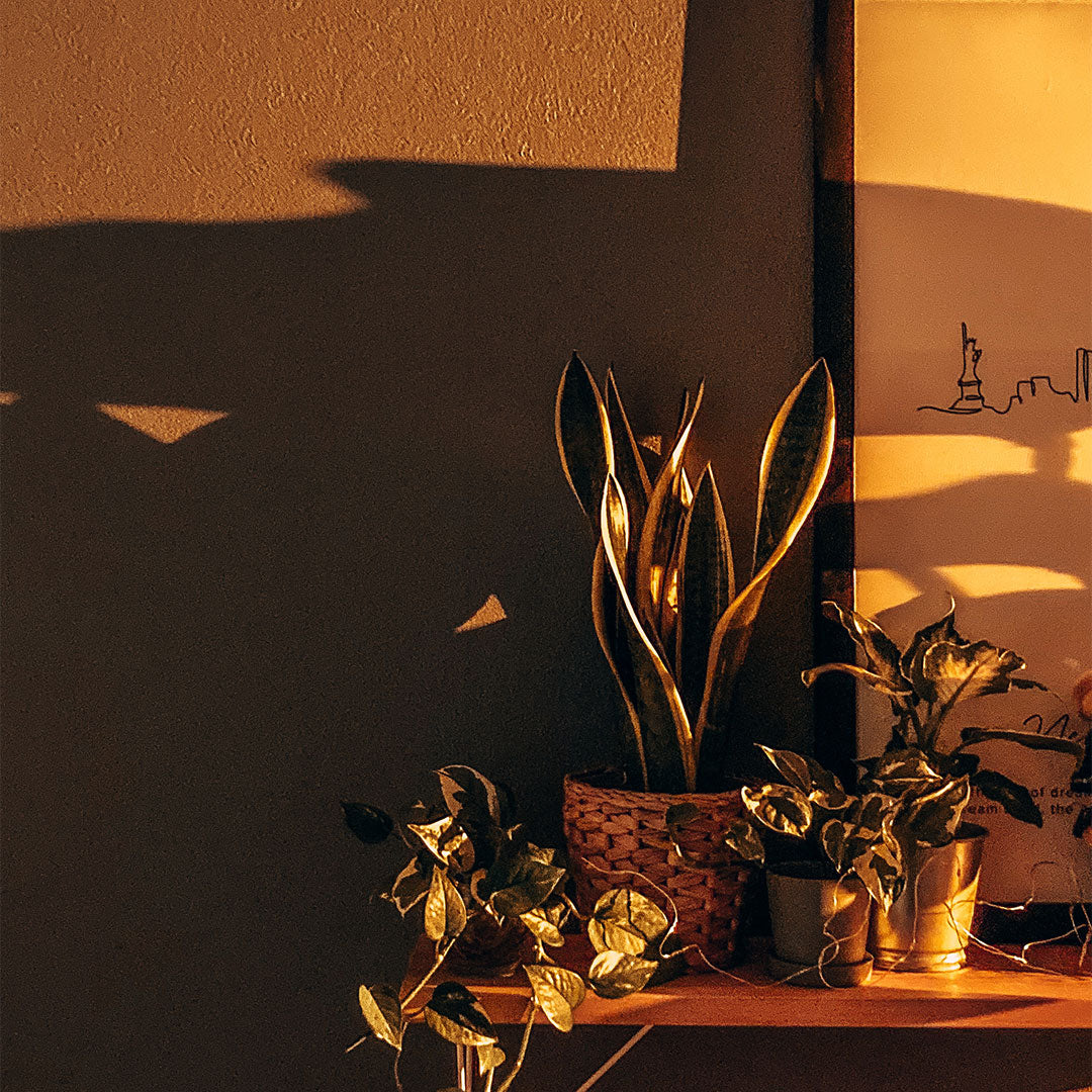 【在庫限り】Glory Lamp Mini